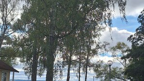 Un parque con un banco, árboles, un poste de luz y vistas a un lago.