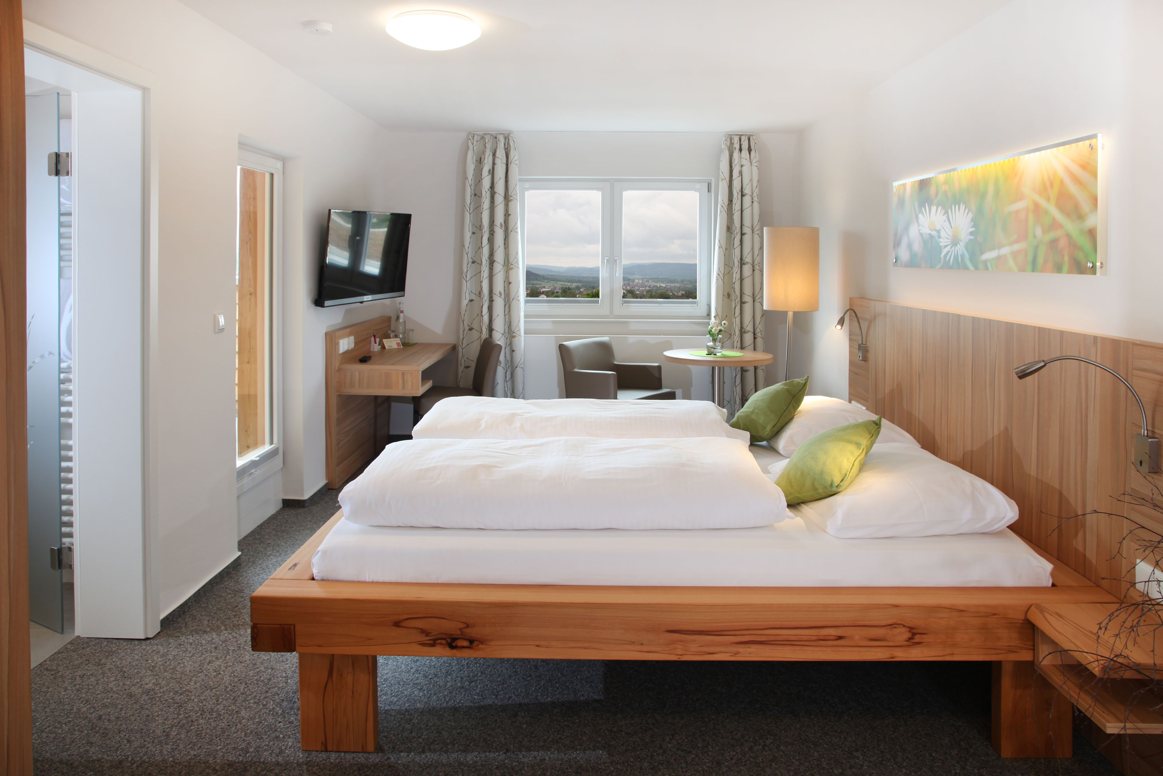 standard double room, city view | view from room