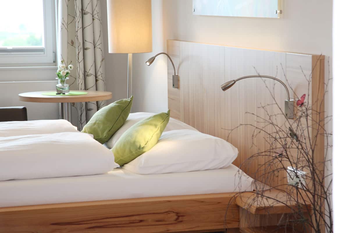 standard double room, city view | premium bedding, desk, iron/ironing board, free wifi