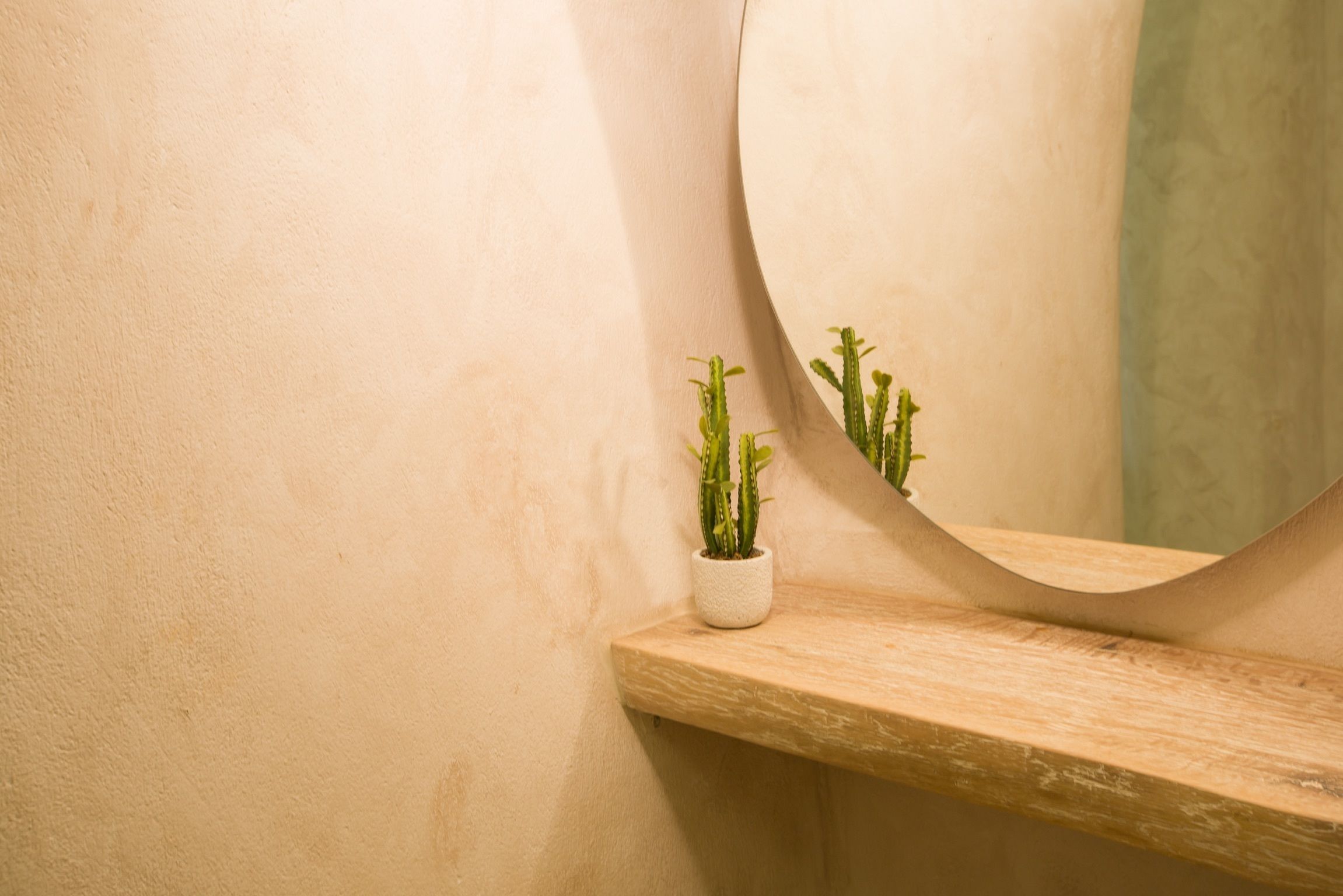 A bathroom with a wooden shelf, a white ceramic pot with a cactus, and a mirror reflecting the cactus.
