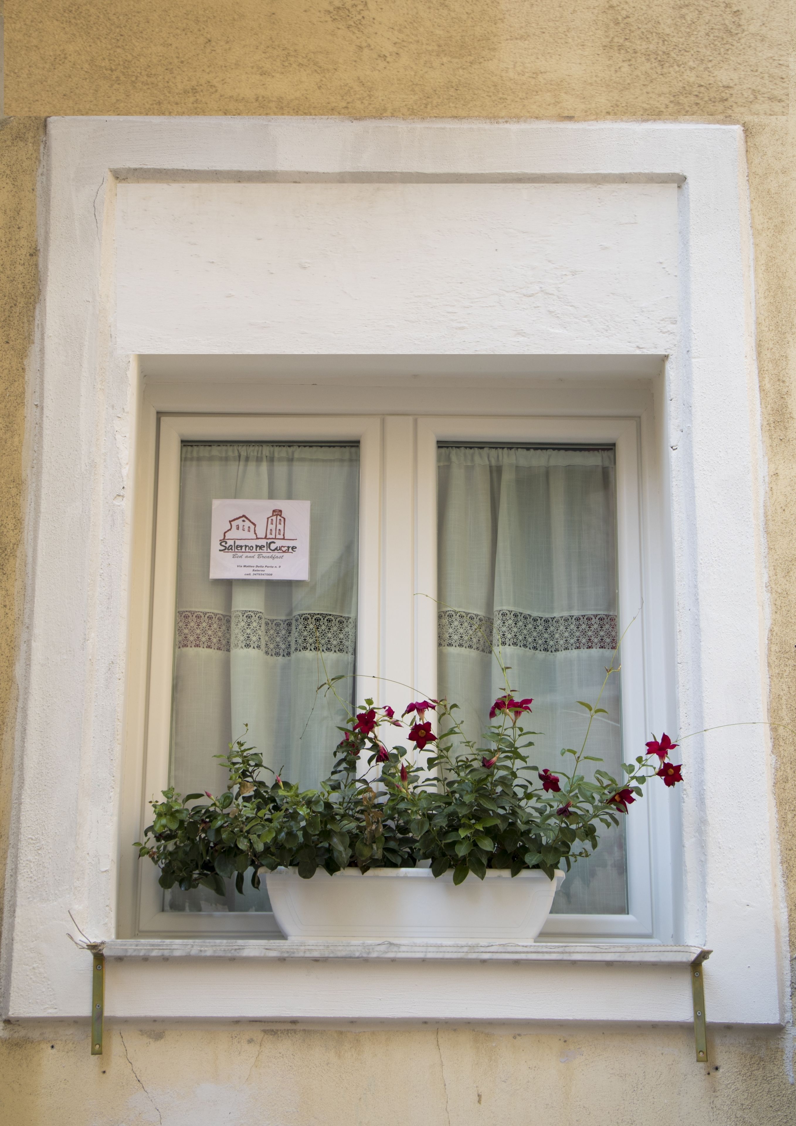 Photo - Salerno nel Cuore