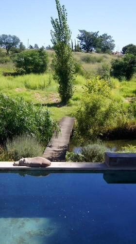 Cunningham Cottage Guest House