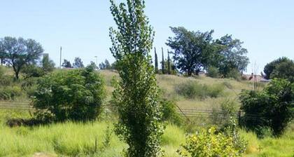 Cunningham Cottage Guest House