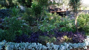 Un jardin agrémenté de diverses plantes et un espace patio aménagé avec du mobilier d’extérieur.