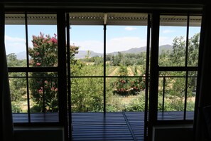 Penthouse suite  | View from room