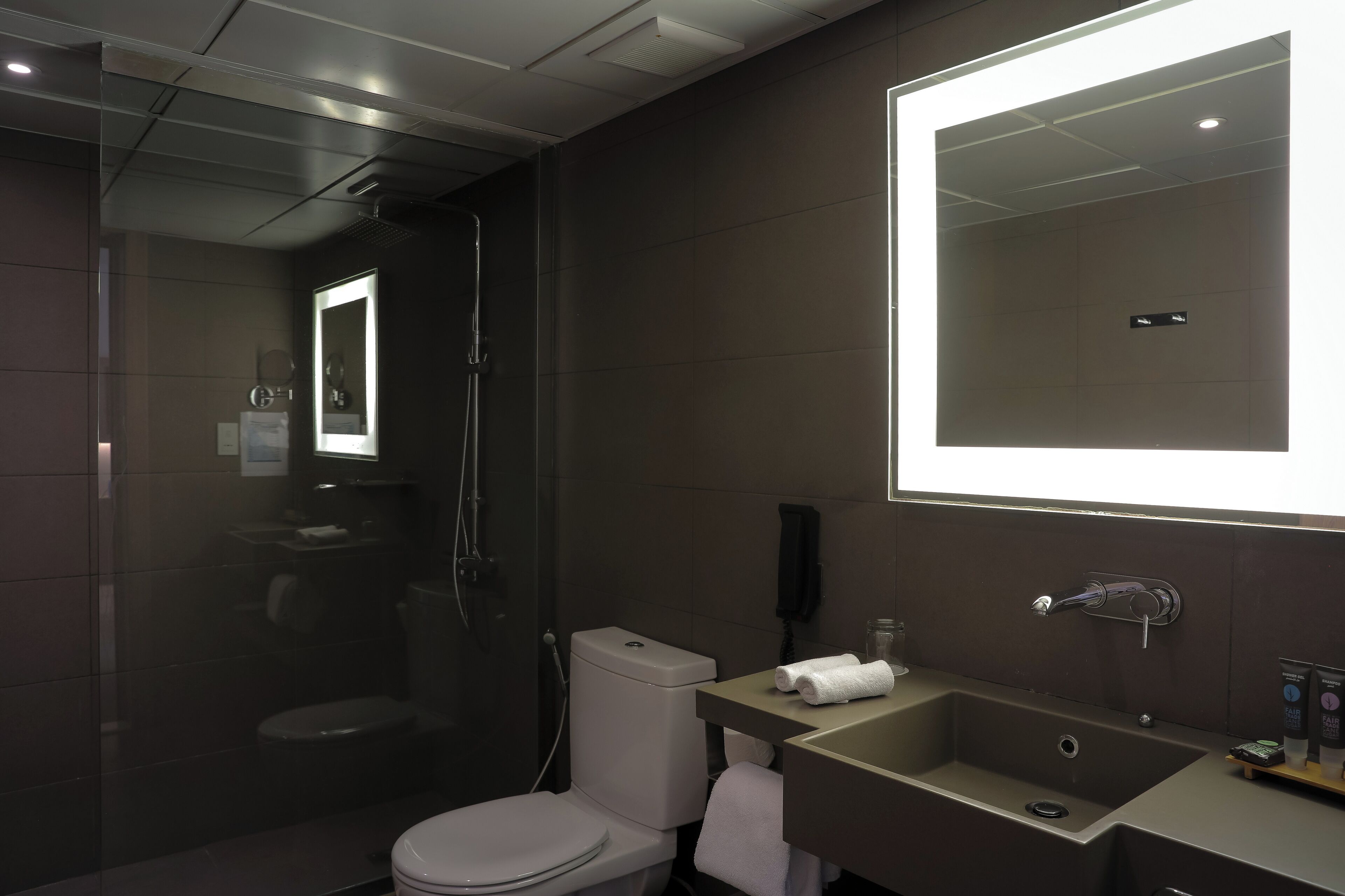 A modern bathroom with a glass-enclosed shower, a toilet, and a sink with a mirror above it.