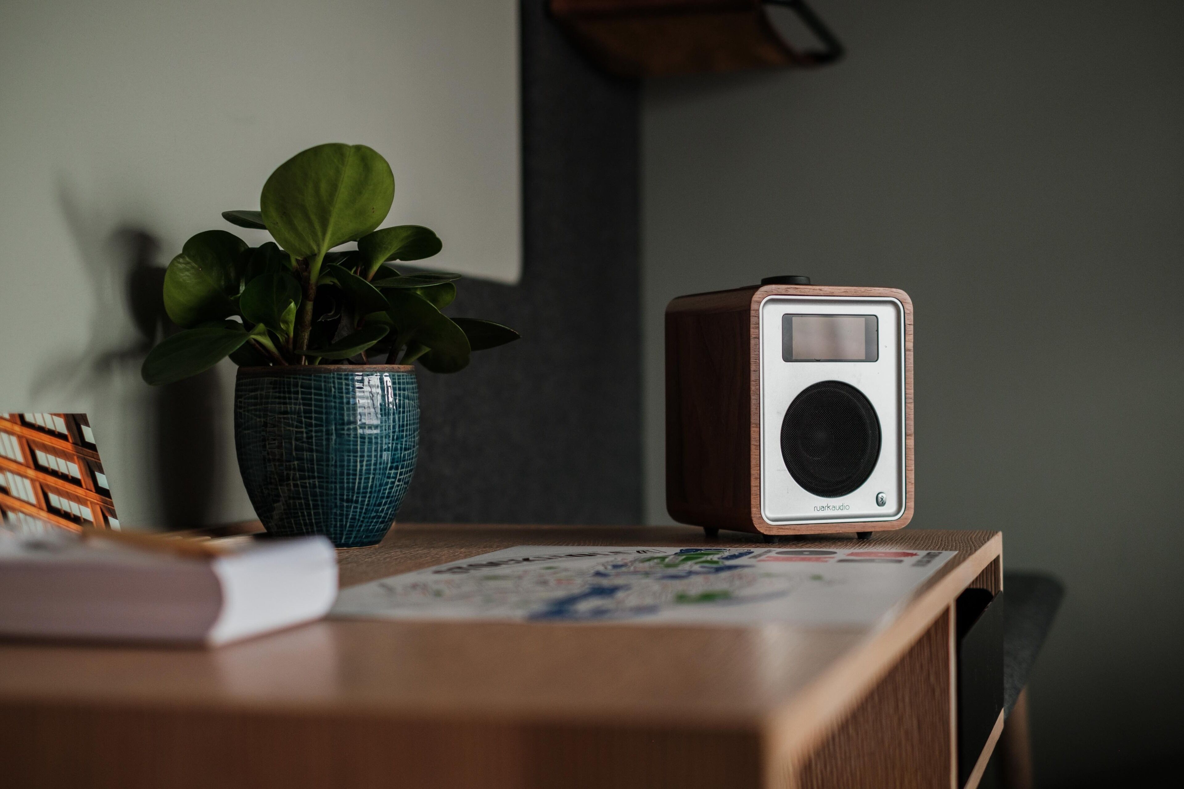 A wooden table with a radio, a potted plant, and a book.