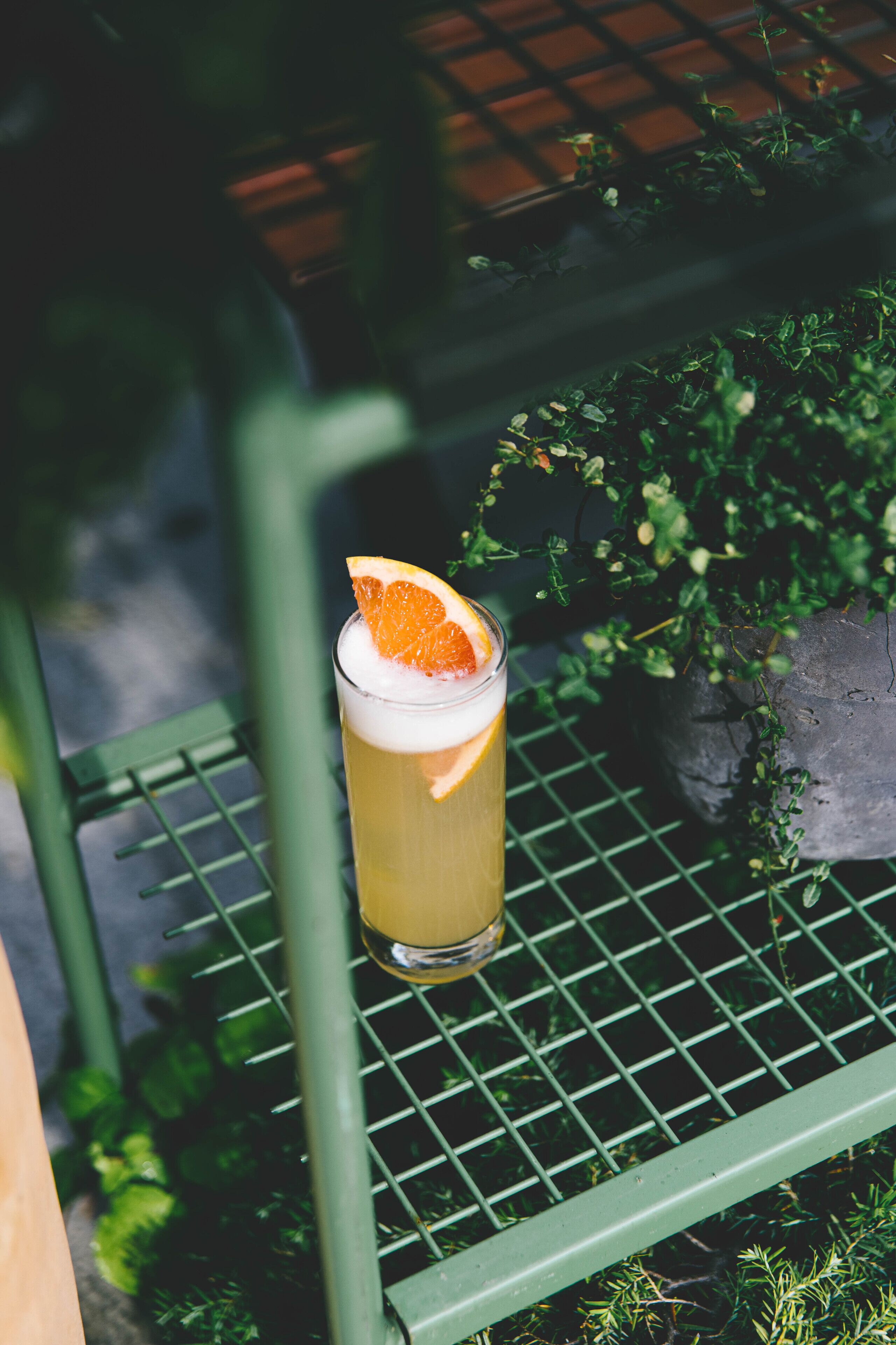 A glass of yellow beverage with an orange slice garnish on a metal shelf, surrounded by greenery.