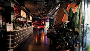 Zona de bar con mostrador, asientos y plantas en macetas.