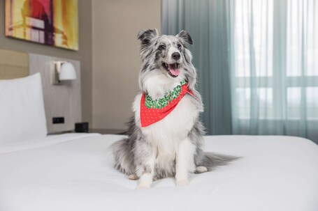 DoubleTree by Hilton New York Times Square West - Image 19