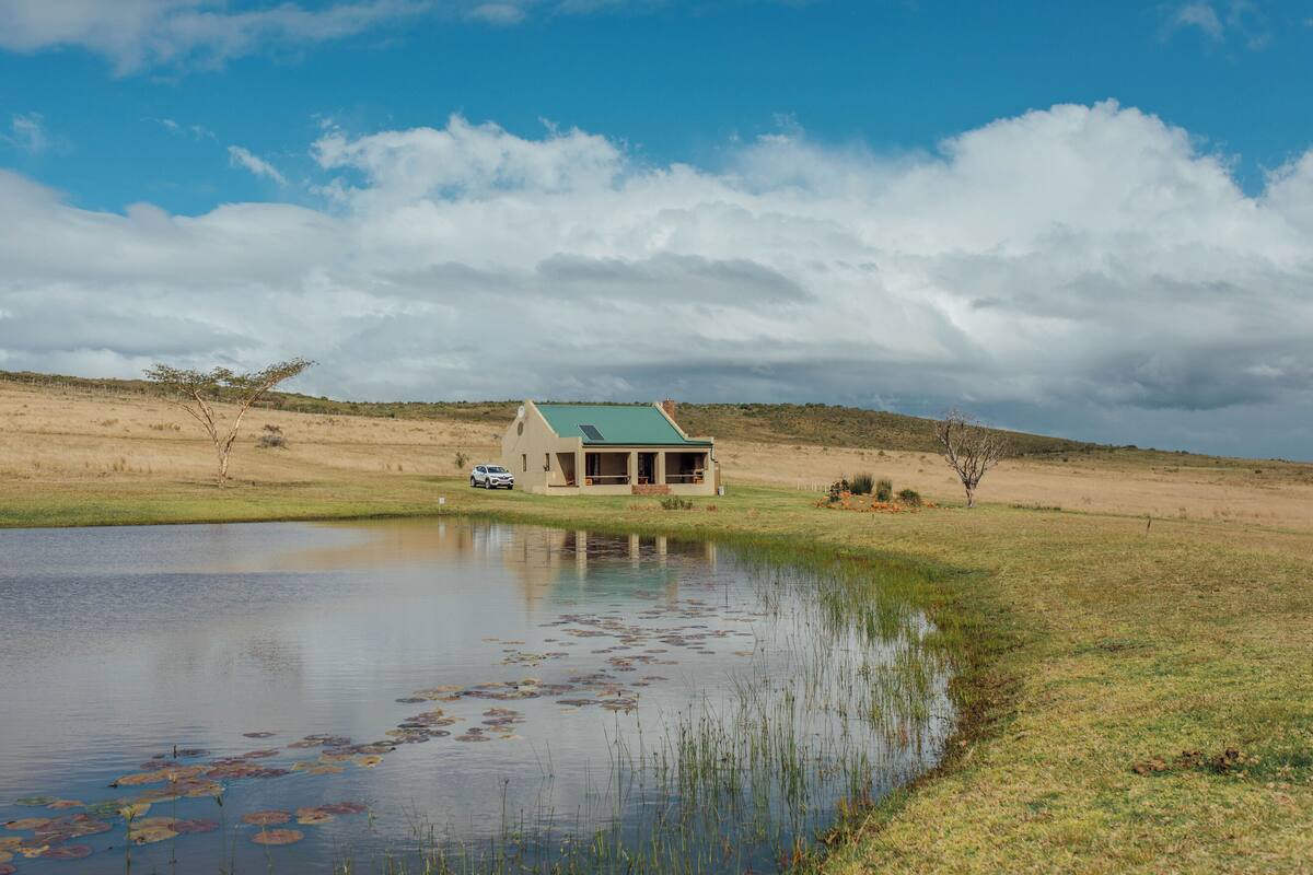 A house with a green roof, a pond with lily pads, and a clear sky.