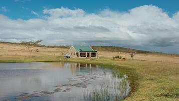 Ein Haus mit einem grünen Dach, einem Teich mit Seerosen und blauem Himmel.