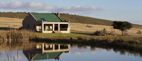 A house with a green roof, a pond in front, and a grassy field in the background.