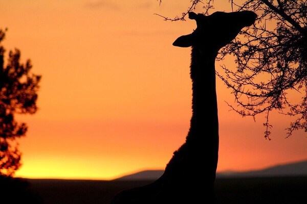 Kwetu Guest Farm - Western Cape
