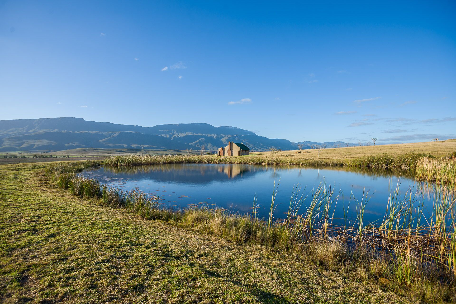 A rural landscape with a pond, grassy fields, and a house in the background.