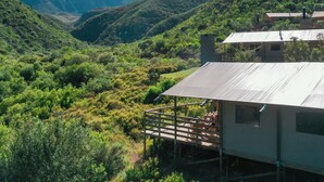 Une cabane rustique avec un toit en métal, entourée d’une végétation luxuriante et avec des montagnes en arrière-plan.
