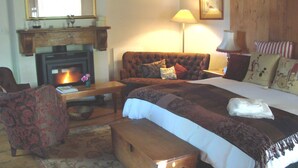 A cozy room with a fireplace, a sofa, a bed, and a wooden cabinet. - Die Waenhuis Guest House (George)