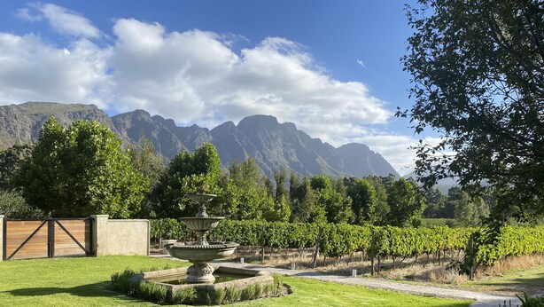 A garden with a fountain, a vineyard, and mountains in the background. - Rose Cottage (Franschhoek)