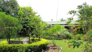 Um jardim exuberante com diversas plantas e um edifício ao fundo.