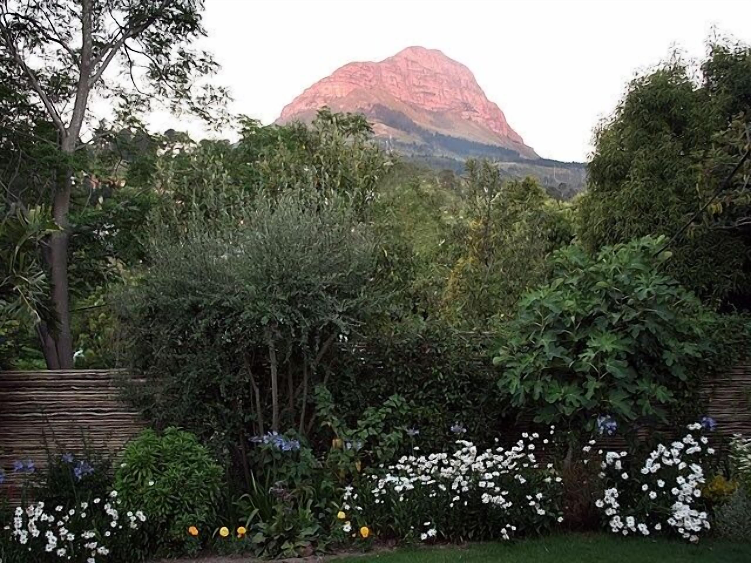 Foto - Blaauwheim Guest House