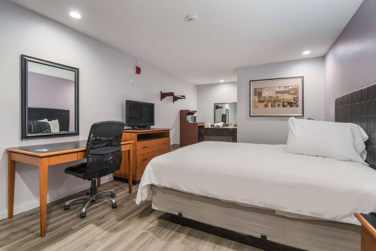 Habitación de hotel con cama, escritorio, silla, televisor y espejo.