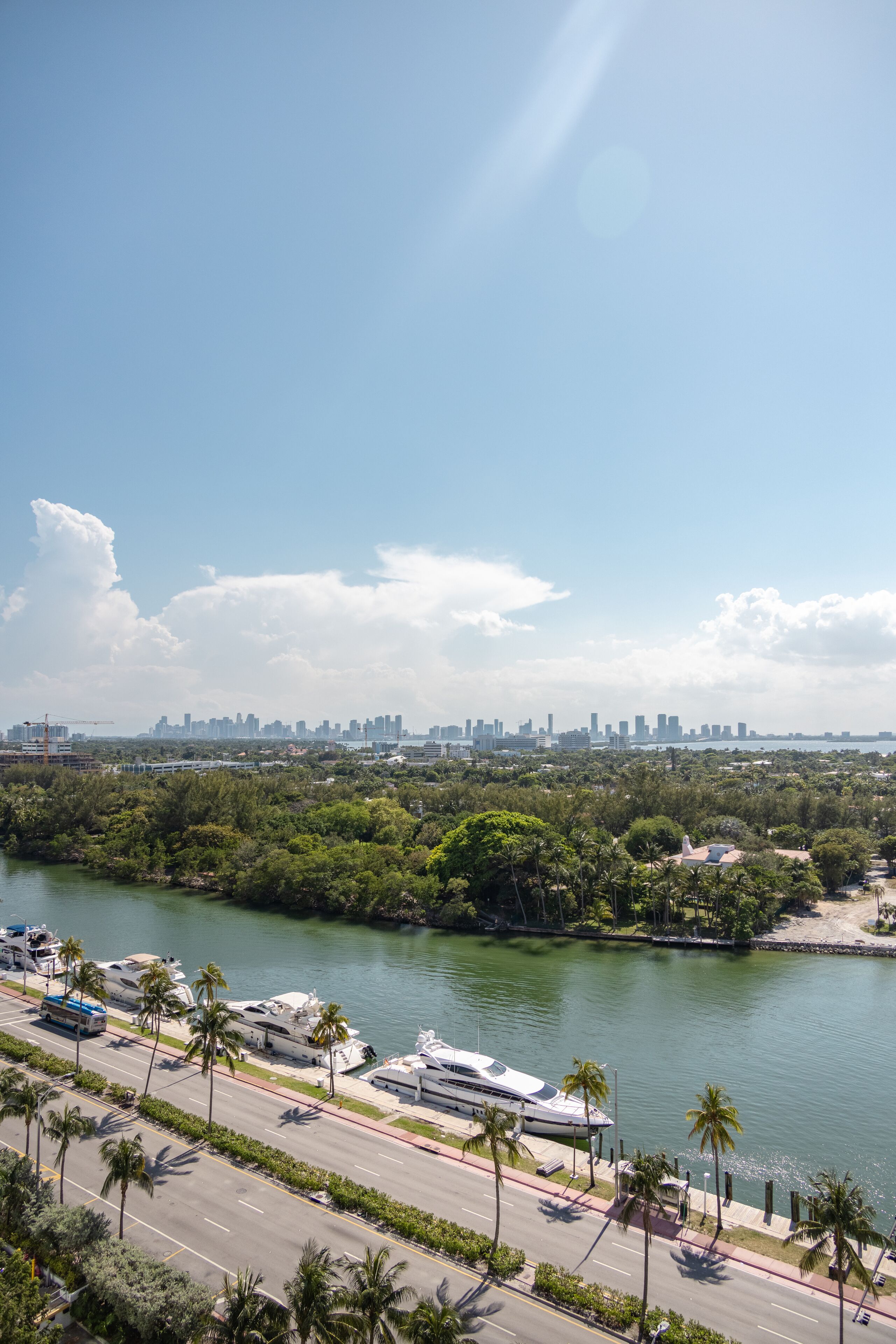 A marina with boats, a city skyline in the background, and a road with palm trees.