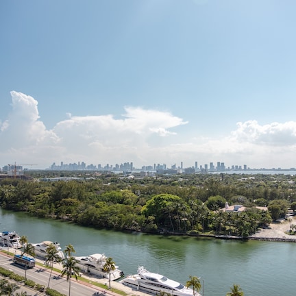 A marina with boats, a city skyline in the background, and a road with palm trees.