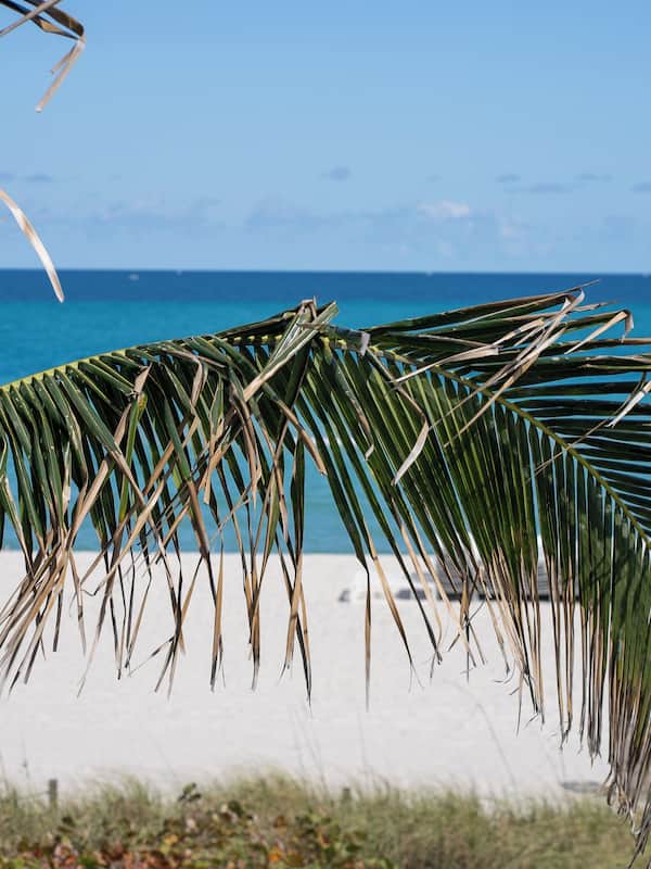On the beach, white sand