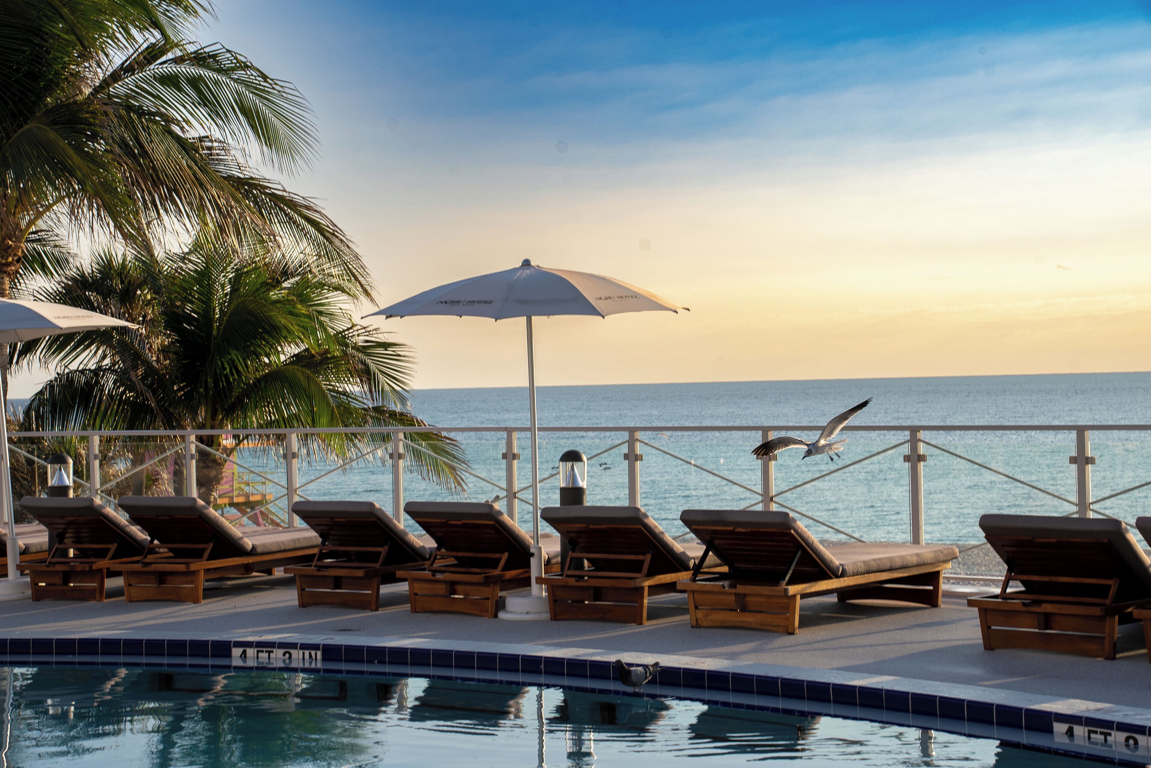 4 piscinas externas, espreguiçadeiras