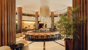A modern bar area with a central bar, seating around it, and a large potted plant. - Nobu Hotel Miami Beach (Miami Beach)