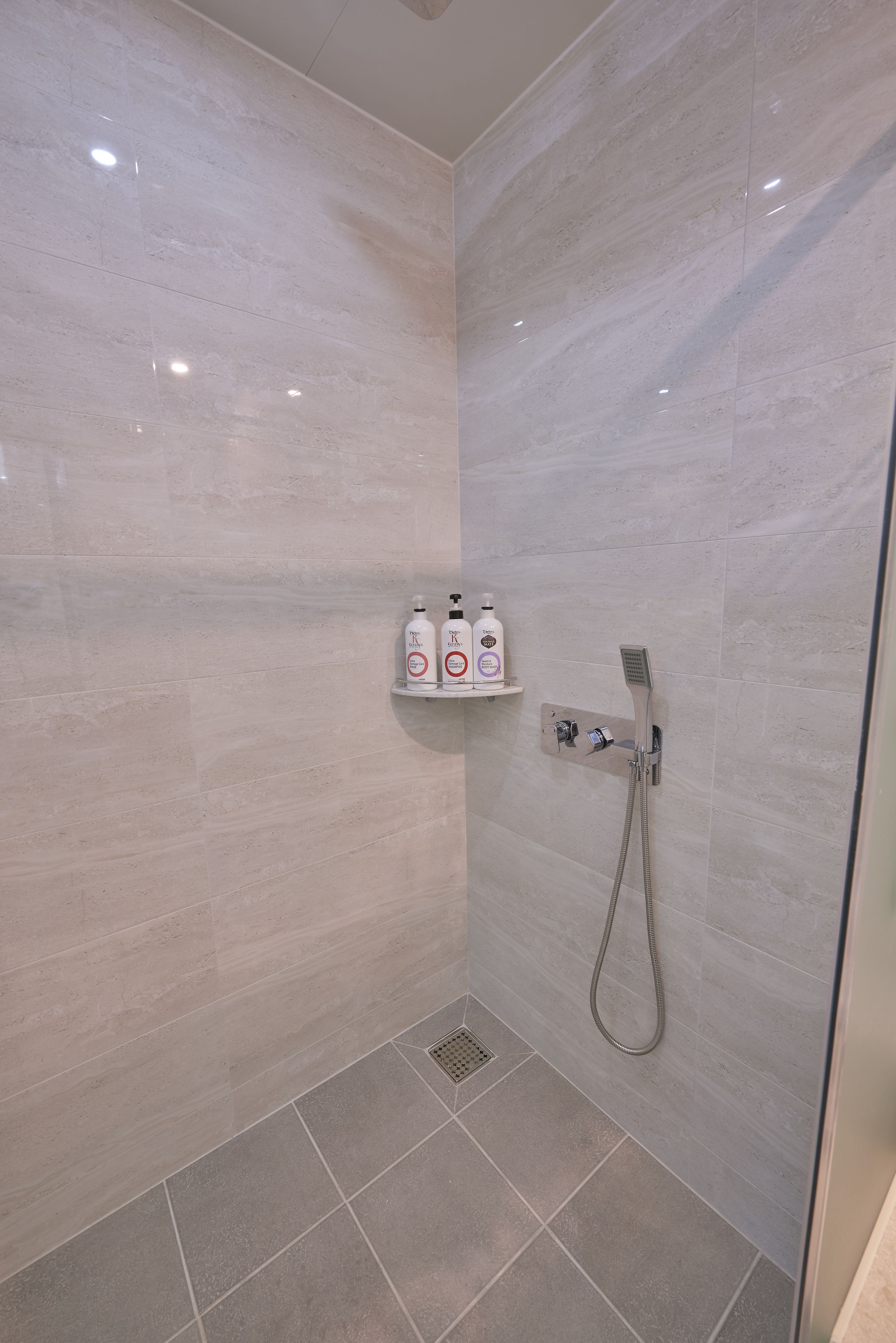 deluxe double room (lg styler) | bathroom shower