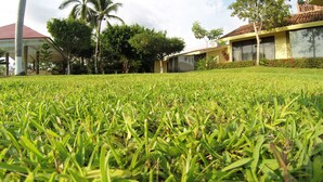 A well-maintained lawn with a clear view of a building with a red roof and yellow walls.