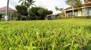 إطلالة على الحديقة