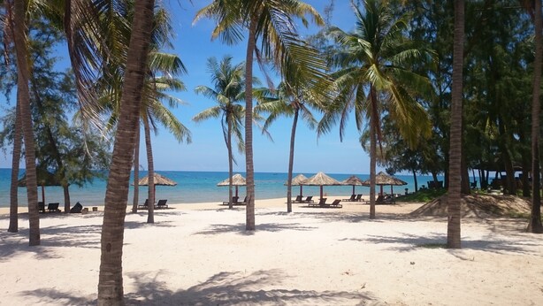 A beach with palm trees, sun loungers, and thatched umbrellas. - Kosmos Apart Hotel (Phu Quoc)