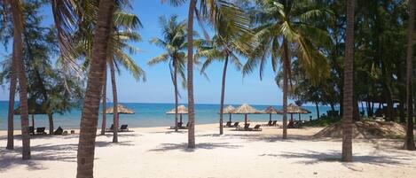 Perto da praia, guarda-sóis, toalhas de praia 