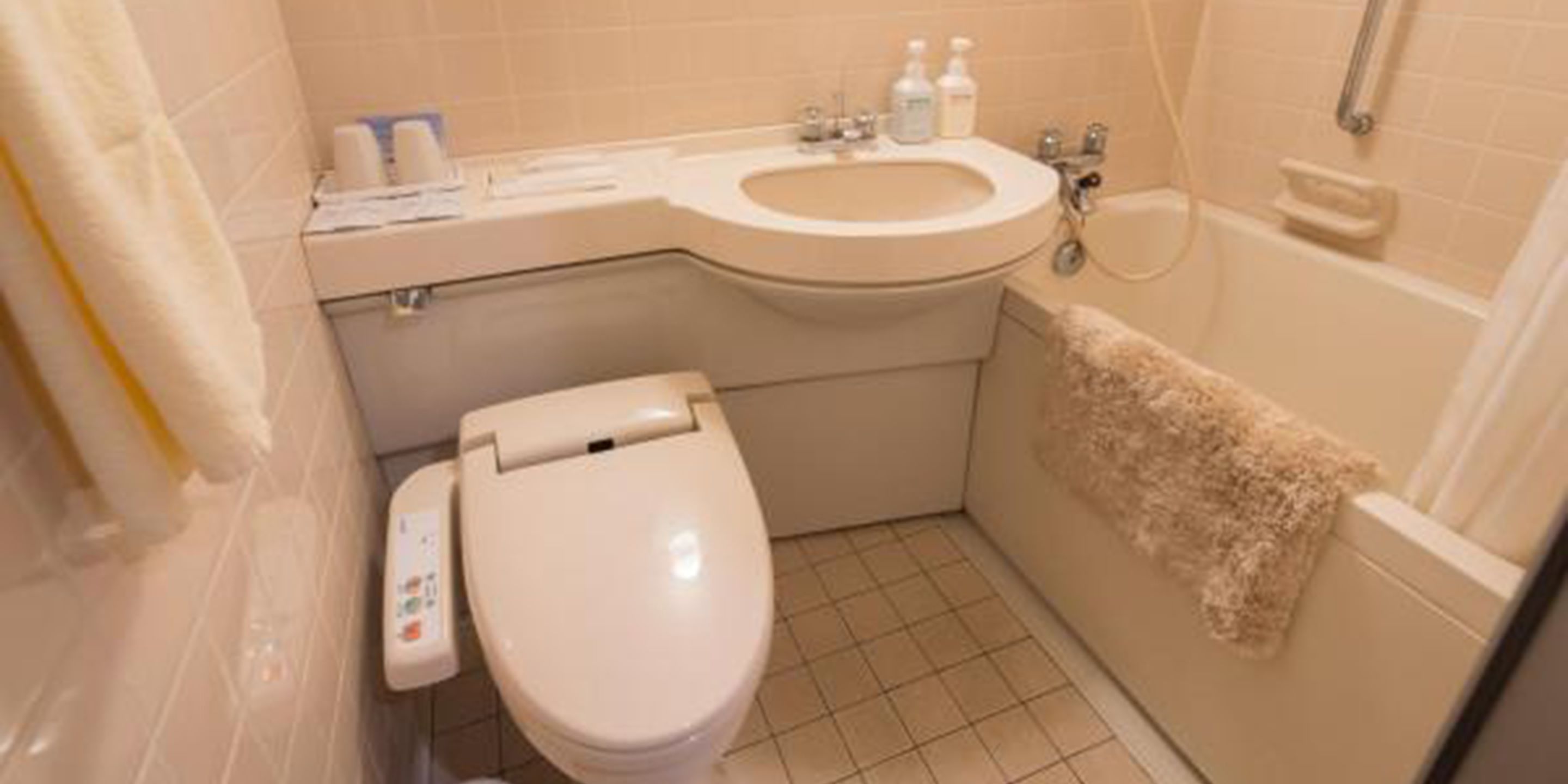 combined shower/bathtub, free toiletries, hair dryer, slippers