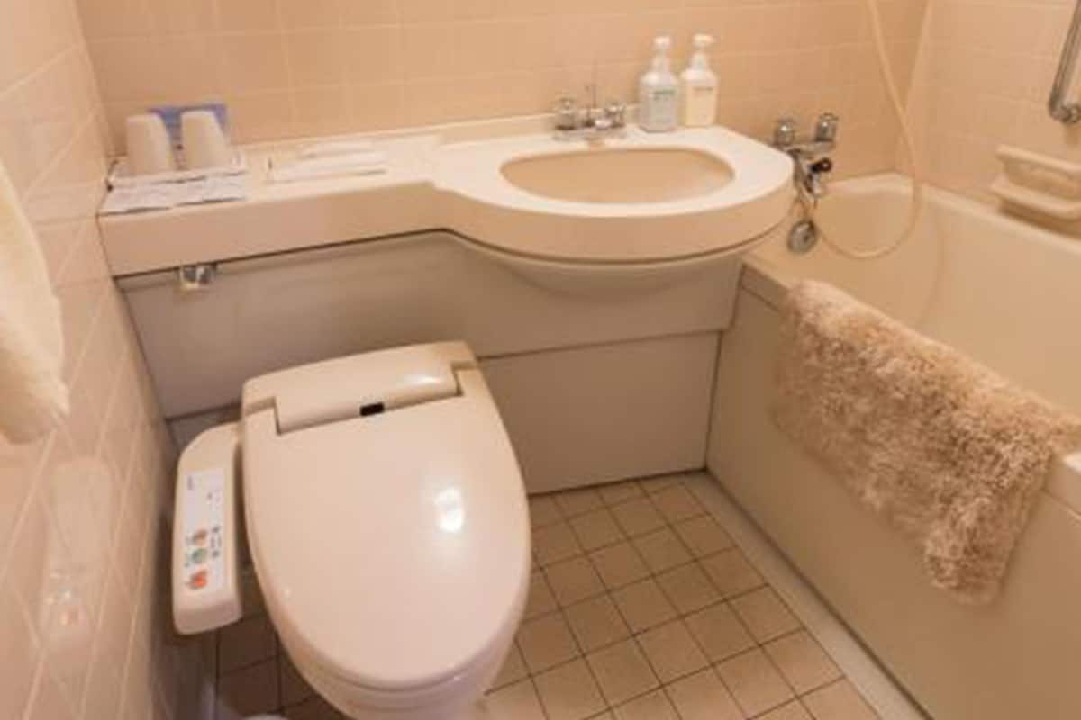 combined shower/bathtub, free toiletries, hair dryer, slippers