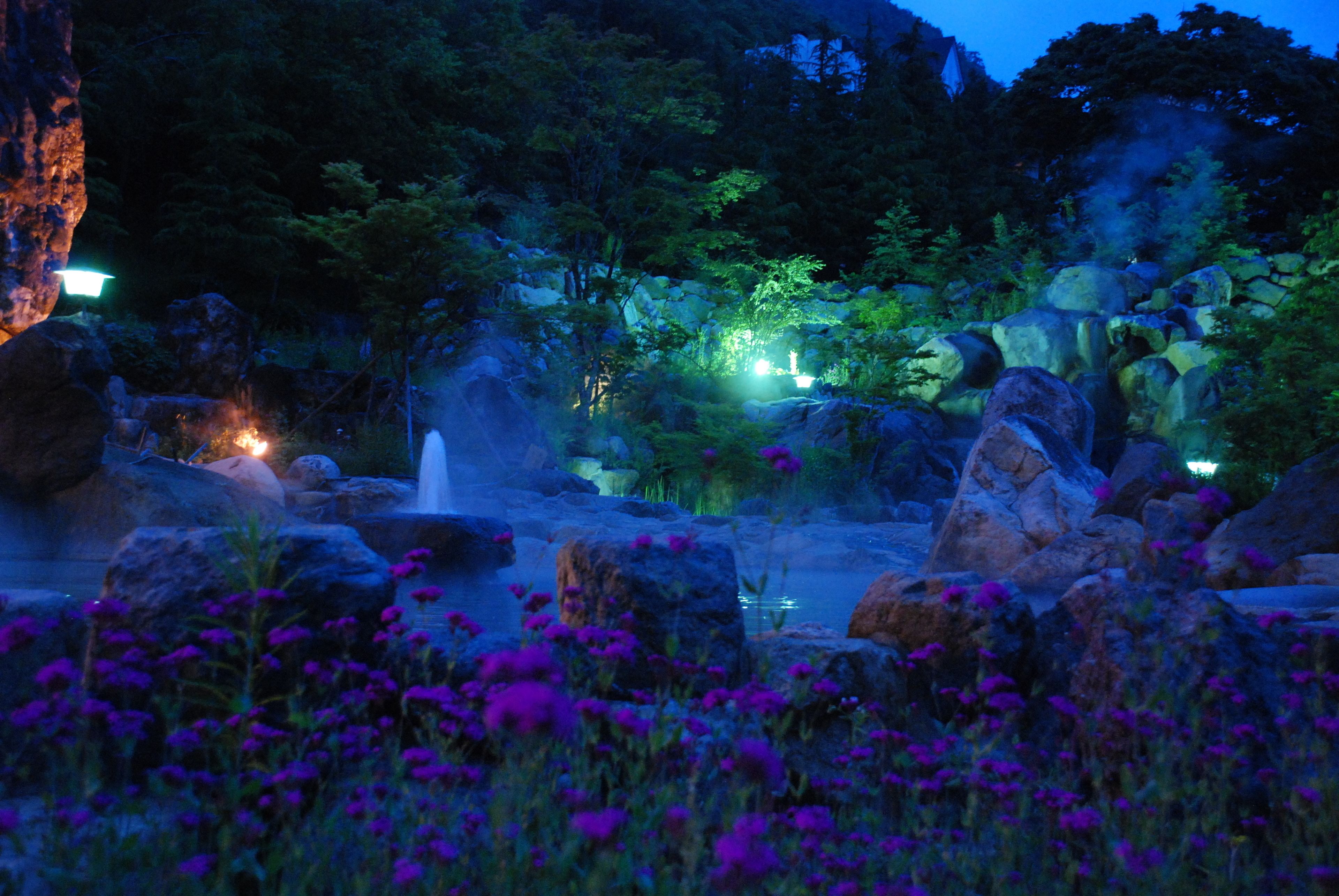 A nighttime garden with a water feature, rocks, and purple flowers.