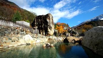 Servicio de la propiedad