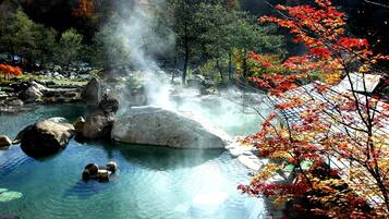 Servicio de la propiedad