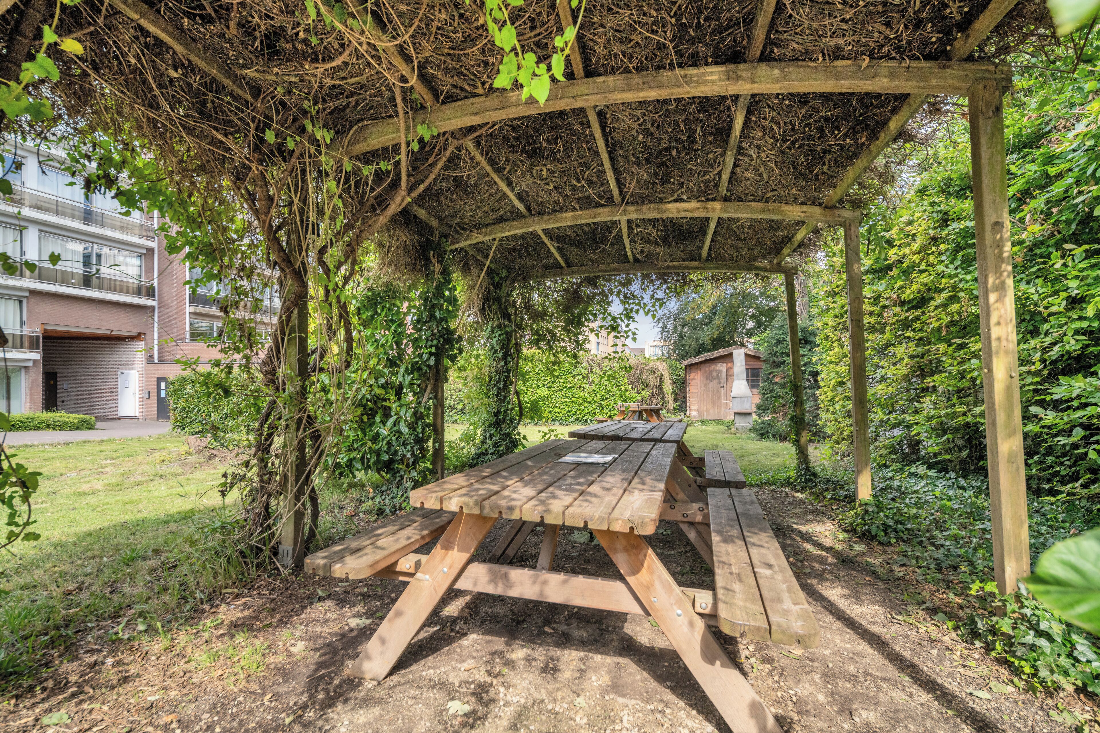 A wooden picnic table under a pergola with vines, surrounded by greenery and a building in the background.