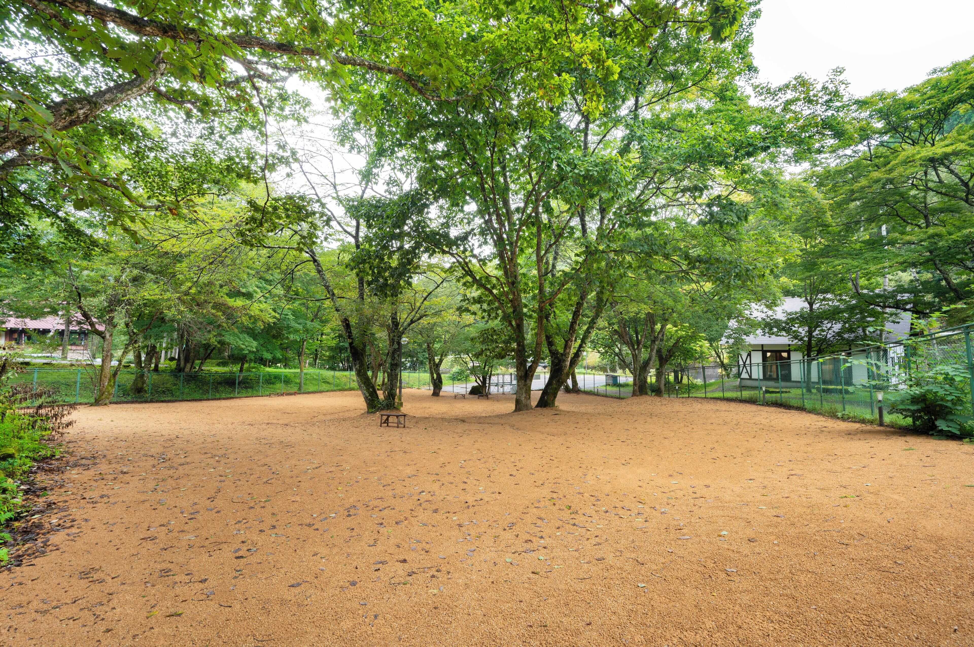 pet-friendly amenities