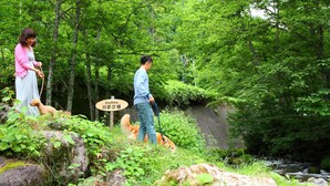 Un cadre naturel en plein air, avec un ruisseau, des rochers et une végétation luxuriante.