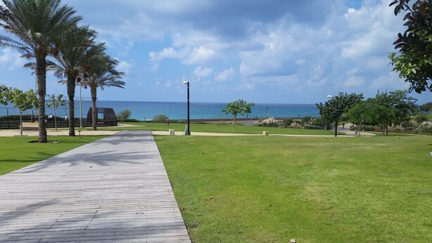 A wooden boardwalk leading to a grassy area with palm trees and a view of the ocean. - My Home 2 Sea View Apartment (Haifa)