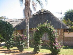 Garden - Chitawa Lodge (Ramokgwebana)