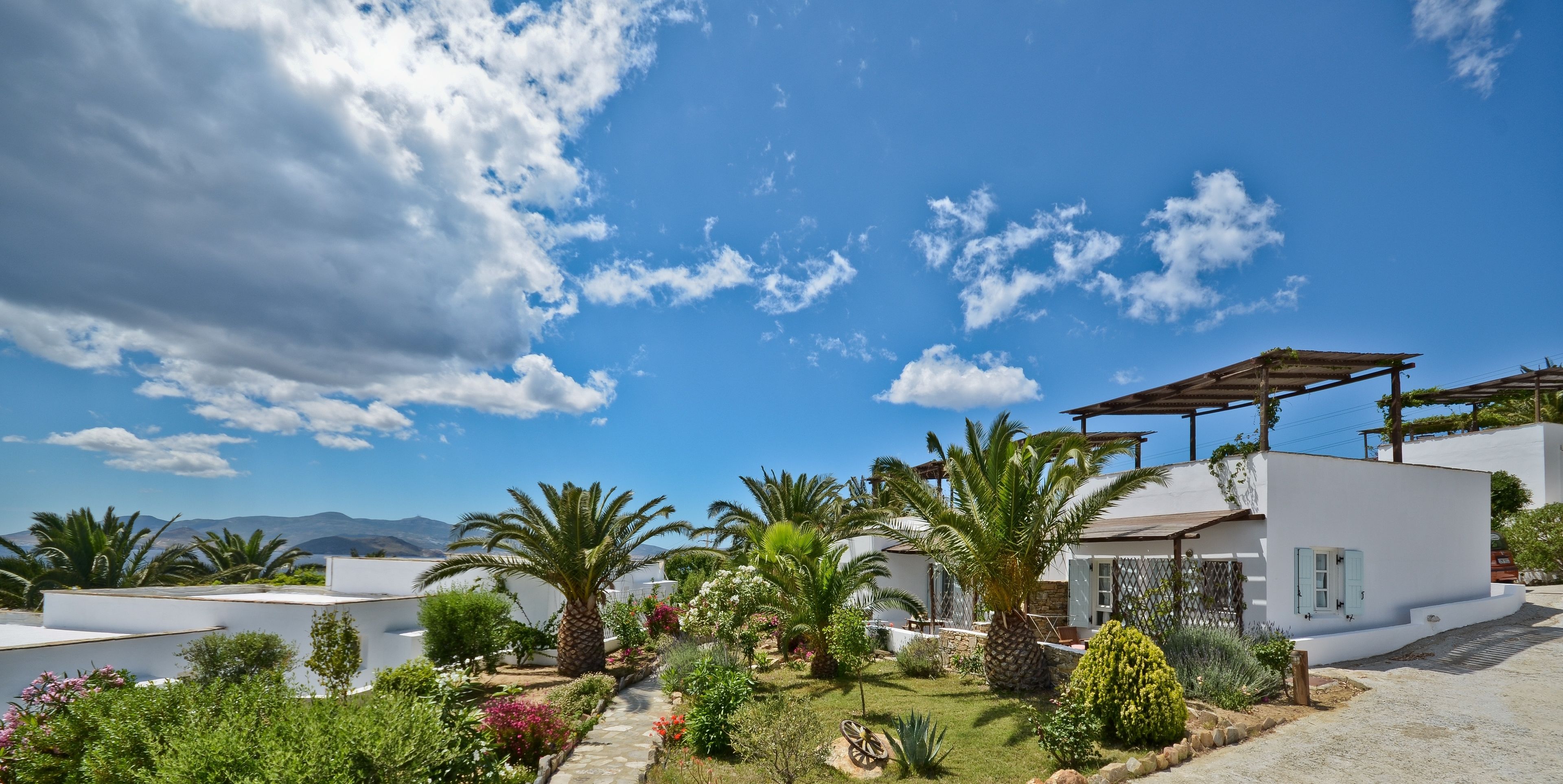 Una villa moderna con fachada blanca, un camino de piedra y un jardín con palmeras y plantas en flor.