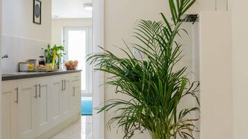 Apartment, 2 Bedrooms (Penthouse) | Private kitchen | Fridge, microwave, oven, stovetop
