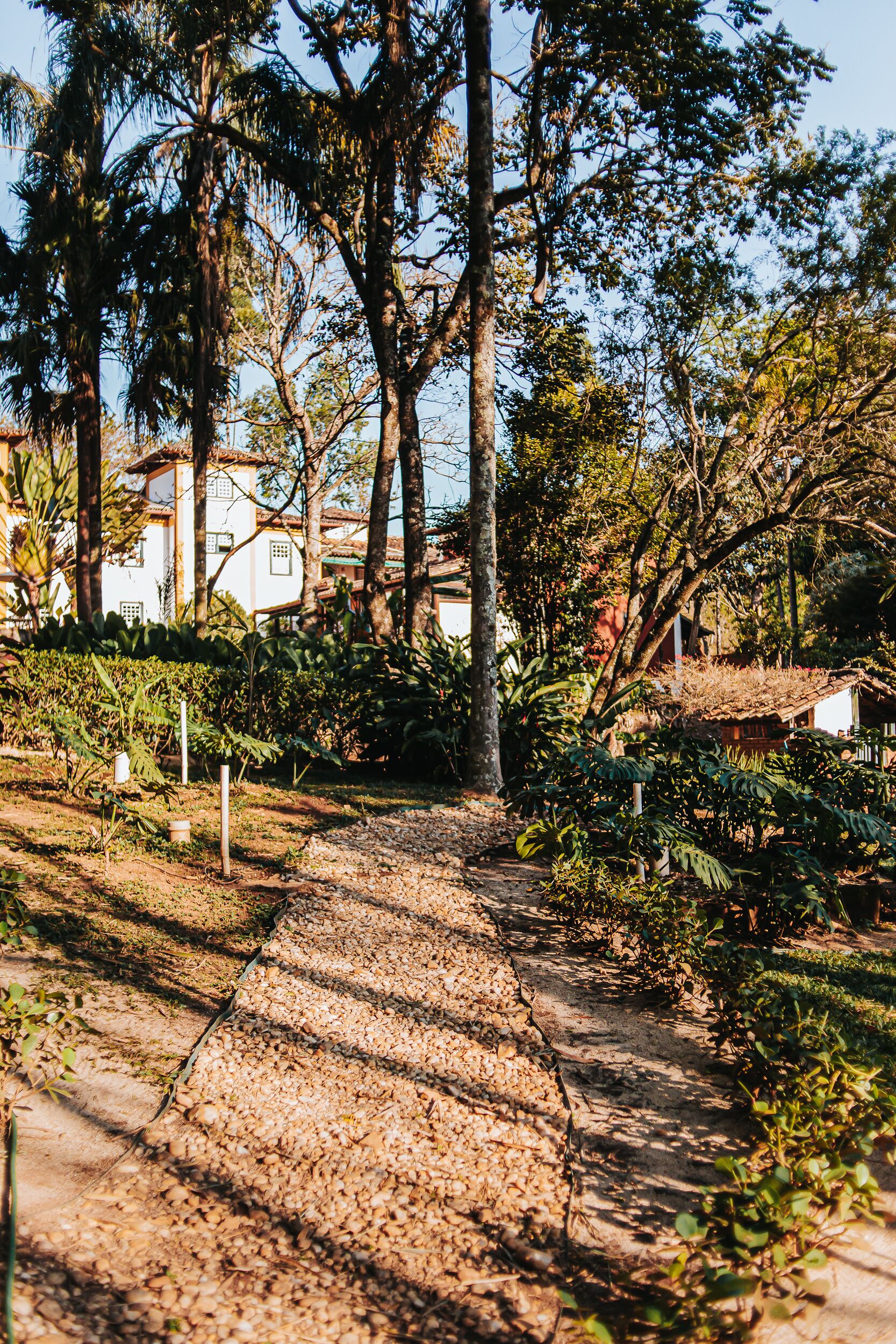 A pathway surrounded by lush greenery and trees, leading to a building with white walls and a red roof.