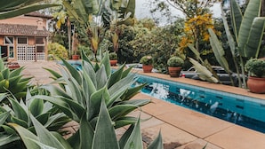 Una piscina rodeada de plantas en macetas y un edificio con tejado de azulejos.