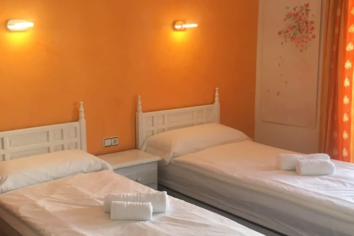 Habitación con 1 cama doble o 2 individuales | Wifi gratis